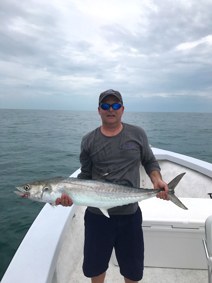 Kingfish Battles Ft Myers Beach