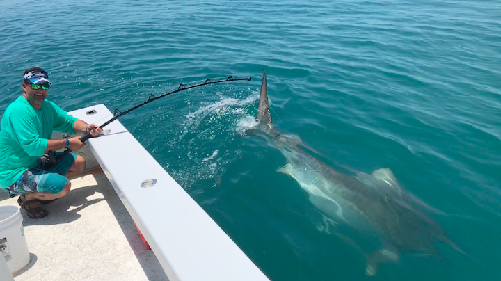 Sanibel Fishing Charters