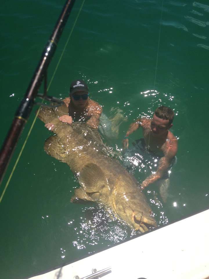 Sanibel Fishing Charters