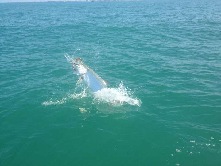 Sanibel Fishing Charters