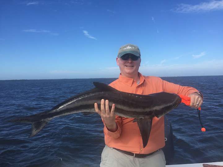 Sanibel Fishing Charters
