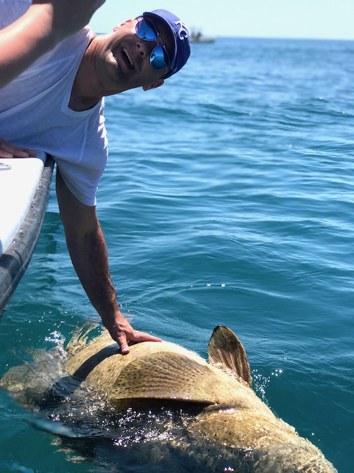 Goliath Grouper Challenge