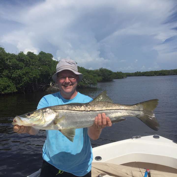 Mangroves Snook Sanibel Florida