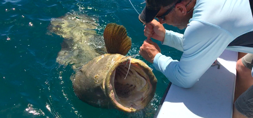 Sanibel Fishing Charters